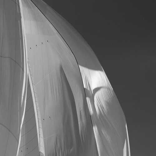 Regates Royales IX Julien Coomans