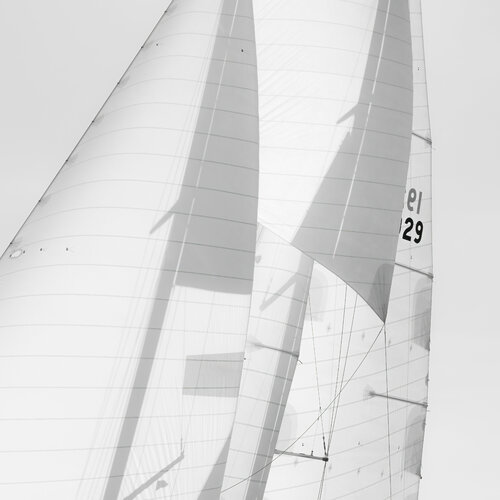 Regates Royales X von Julien Coomans, Fotografie kaufen auf Singulart
