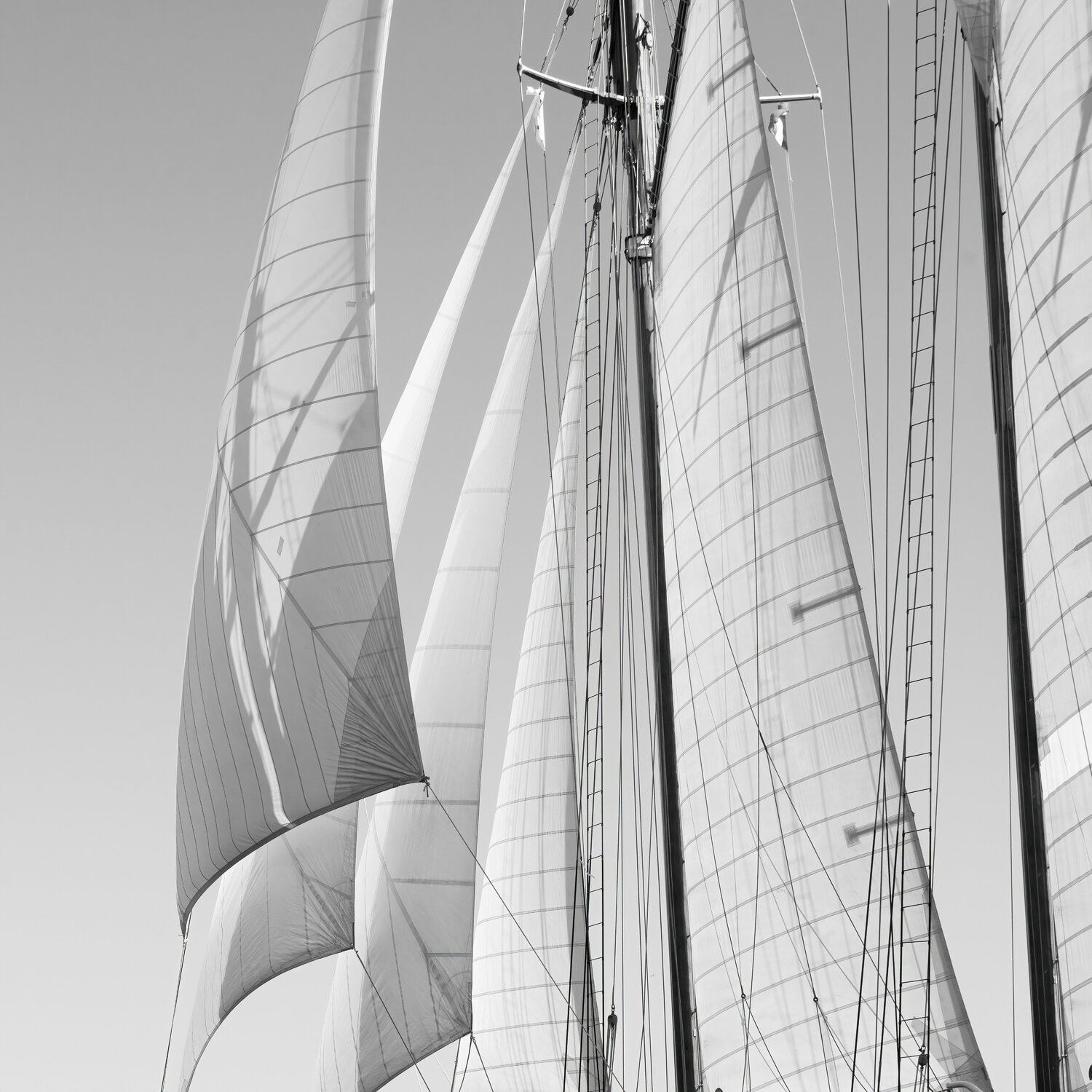 Regates Royales III Julien Coomans