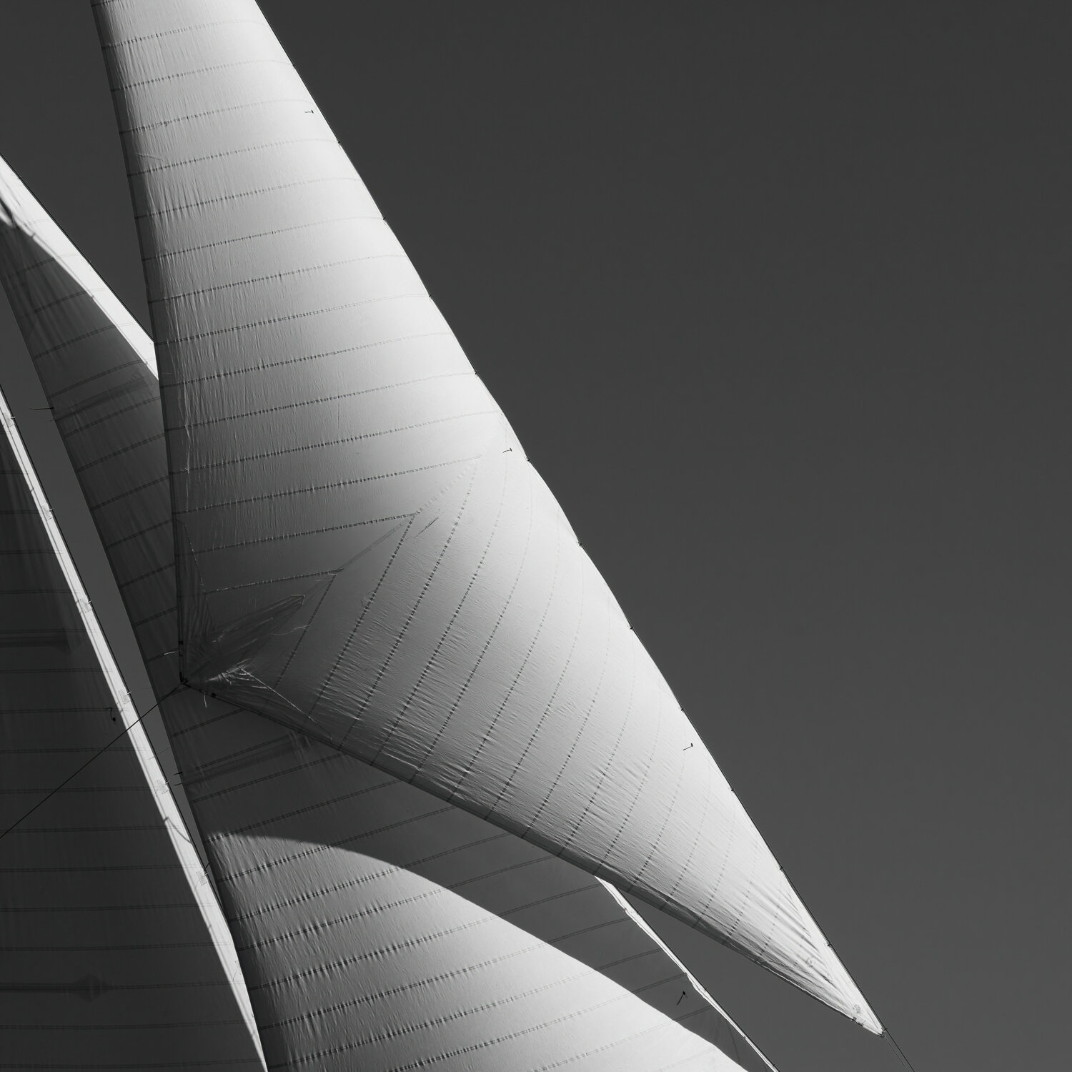 Regates Royales VII Julien Coomans