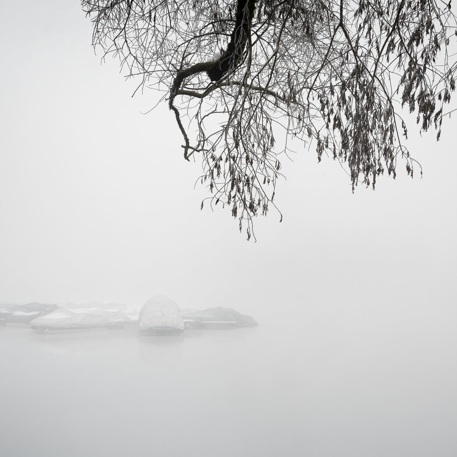 When the boat comes in V Julien Coomans