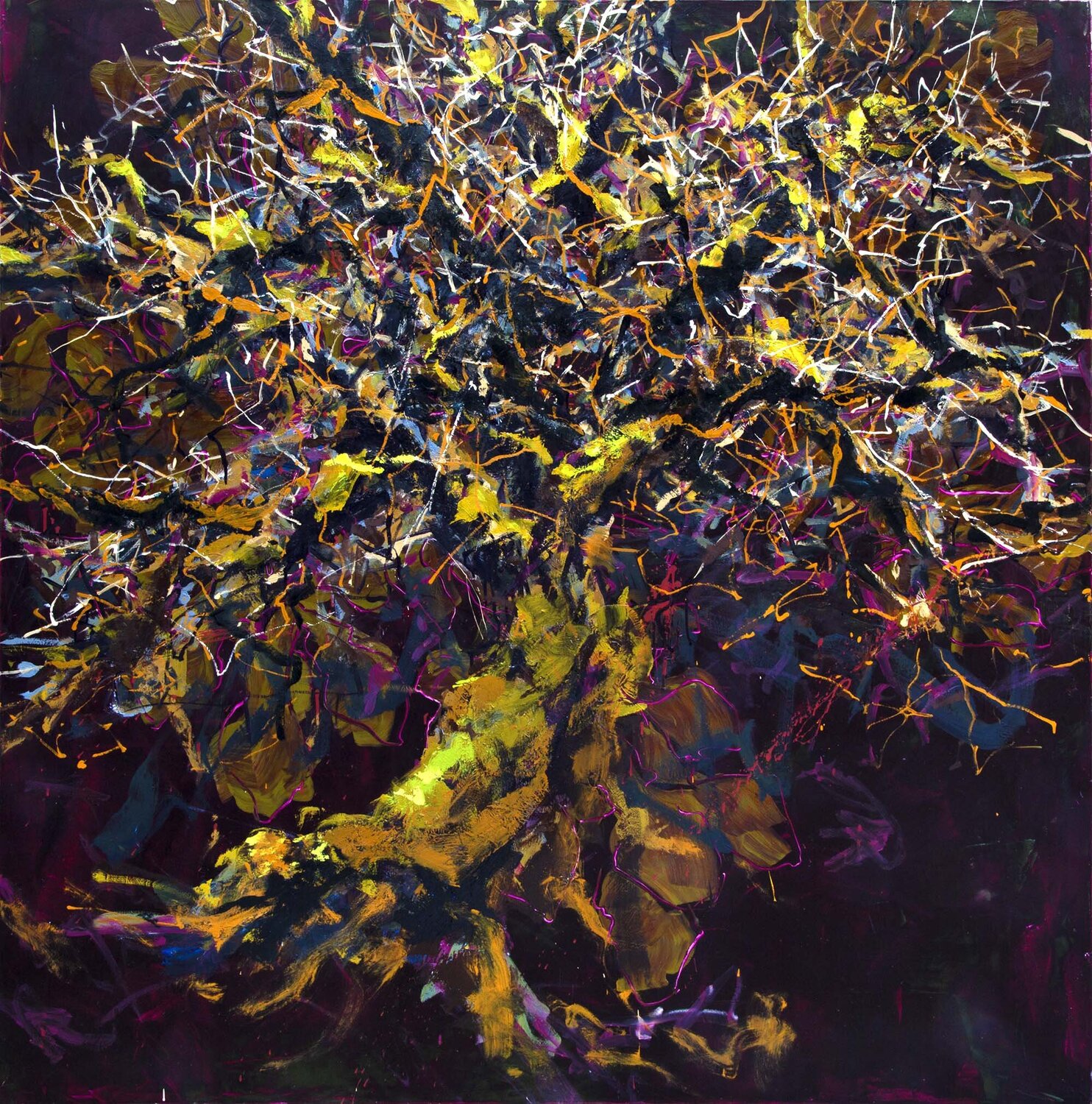 d'emblée sauvage Charles Belle