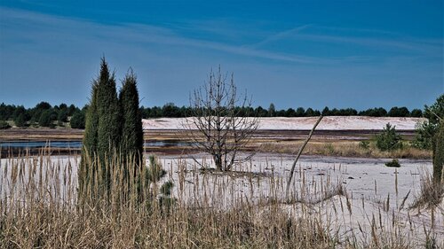 Nach der Landschaft - Sich neu erfinden van antonio rankel, Fotografie te koop op Singulart
