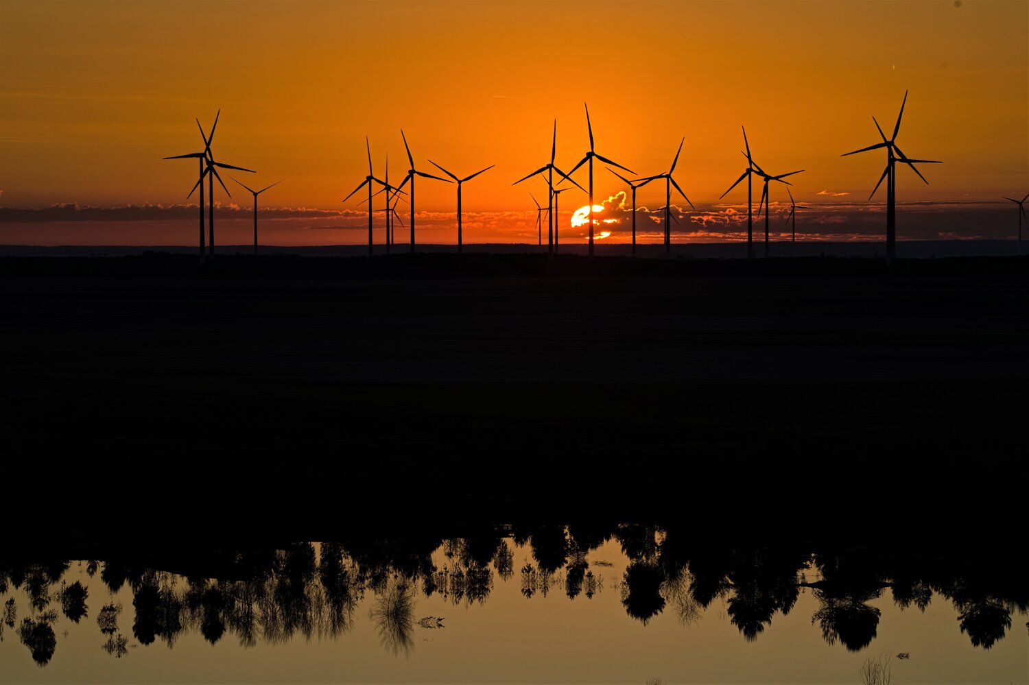 Nach der Landschaft - Cottbuser Ostsee antonio rankel