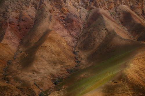 Land of my soul Fadwa Rouhana