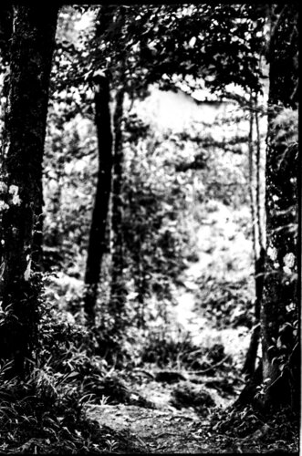 A lo largo de los límites von Berangere Goossens, Fotografie kaufen auf Singulart