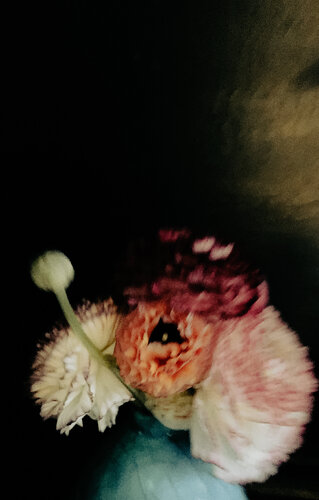 Bouquet by Berangere Goossens, 사진 for Sale on Singulart