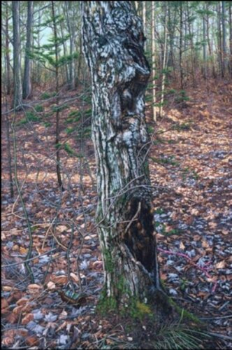 Pilier 1 di Colin Chabot, Pittura in vendita su Singulart