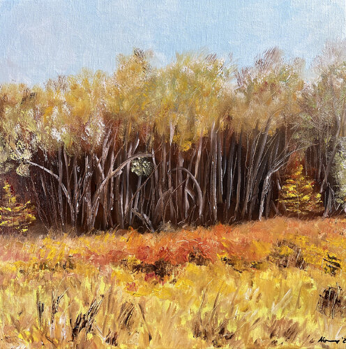 Herbst beginnt im Todtermoor van Angela Sommer, Schilderij te koop op Singulart