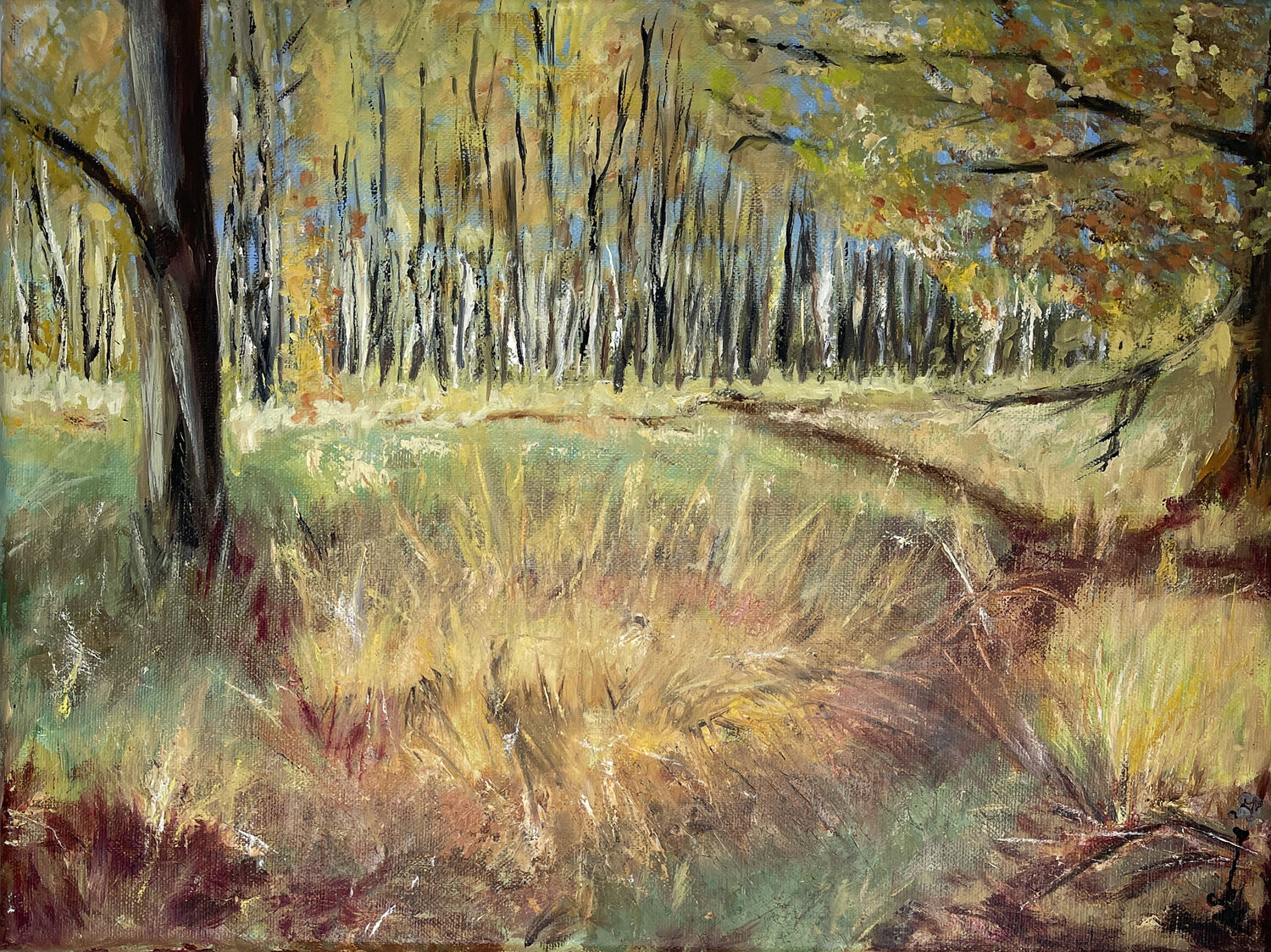 Herbstgras Angela Sommer
