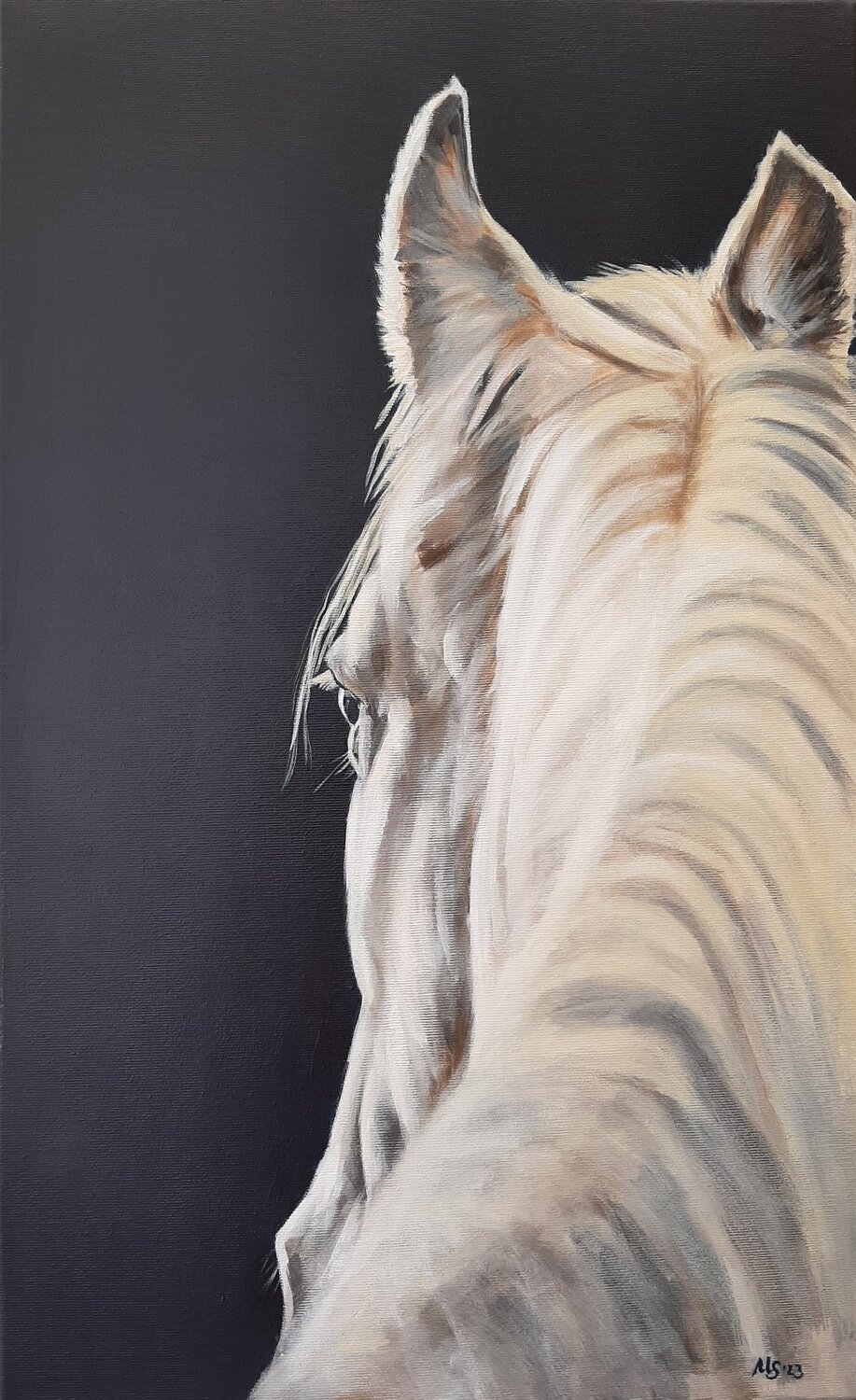 Mitch Ursula Stüwe-Schmitz