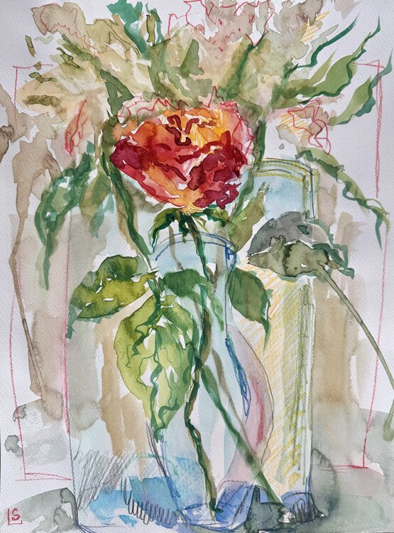 Sketch. Rose Elizaveta Selezneva