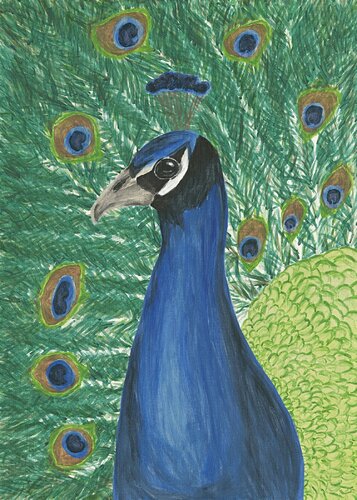 Pfau, der sein Rad schlägt di Teresa Heitz, Pittura in vendita su Singulart