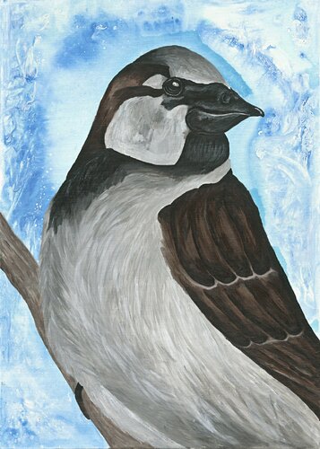 Spatz mit blauer Aura de Teresa Heitz, Pintura a la venta en Singulart