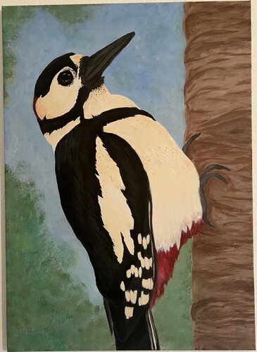 Buntspecht van Teresa Heitz, Schilderij te koop op Singulart
