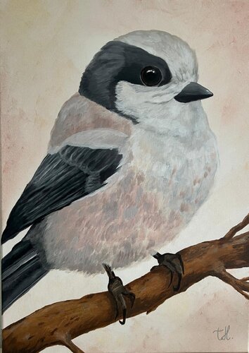 Schwanzmeise de Teresa Heitz, Pintura a la venta en Singulart