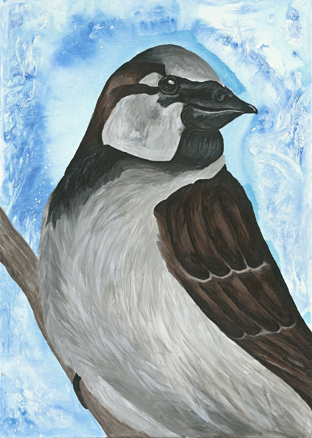 Spatz mit blauer Aura Teresa Heitz