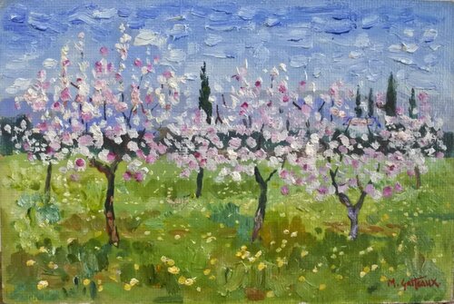 Cherry Blossom, Provence von Marcel Gatteaux, Malerei kaufen auf Singulart