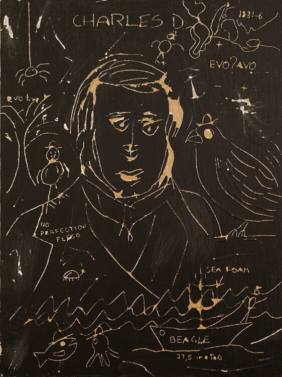 CHARLES D. #0601 herman normoid