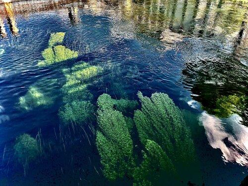 II. “Below the Surface, She Waits” von Cecilia Finotti, Fotografie kaufen auf Singulart