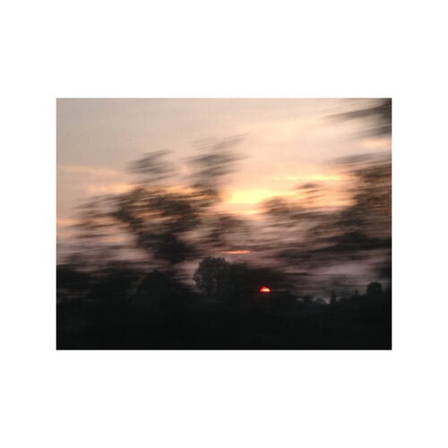 Sun In Motion II - Through The Light van Cecilia Finotti, Fotografie te koop op Singulart