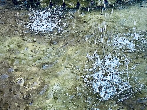 V. “The Threshold” von Cecilia Finotti, Fotografie kaufen auf Singulart