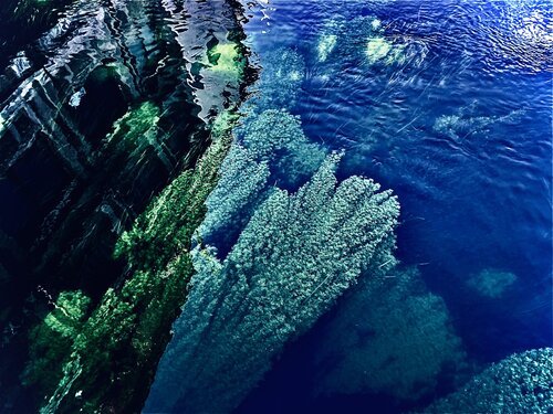 VIII. “Where The Nymph Dwells” von Cecilia Finotti, Fotografie kaufen auf Singulart