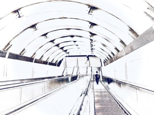 I. Clearness Cecilia Finotti