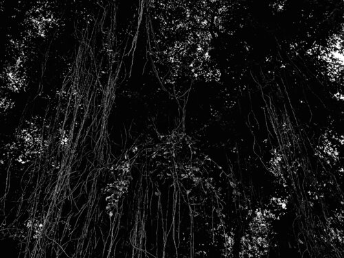 V. Deep Cosmos van Cecilia Finotti, Fotografie te koop op Singulart