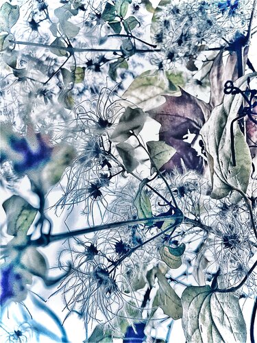 II. Aeralis di Cecilia Finotti, Fotografia in vendita su Singulart