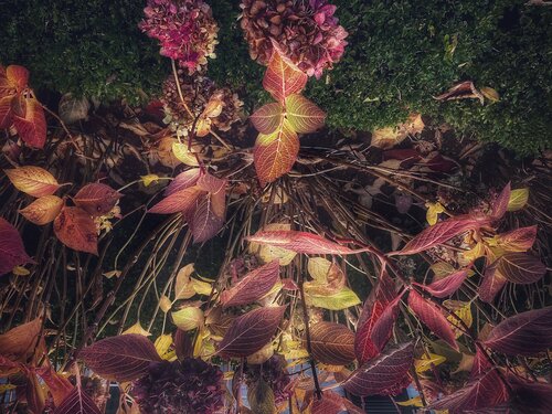 VIII. Abyss van Cecilia Finotti, Fotografie te koop op Singulart