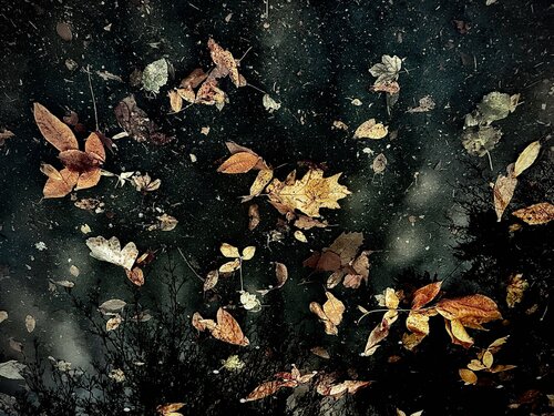 X. Limen van Cecilia Finotti, Fotografie te koop op Singulart