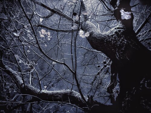 VIII. Bewitched di Cecilia Finotti, Fotografia in vendita su Singulart