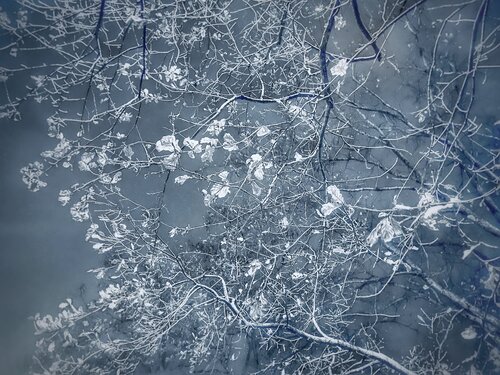 IX. Argentia van Cecilia Finotti, Fotografie te koop op Singulart