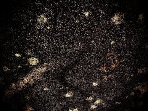 I. Galactica di Cecilia Finotti, Digitale in vendita su Singulart