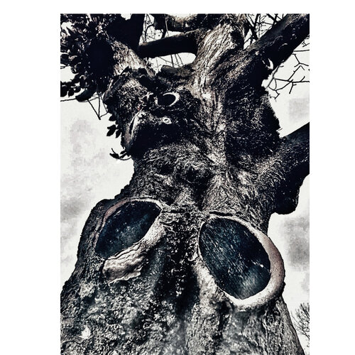V. Vertigo van Cecilia Finotti, Digitaal te koop op Singulart