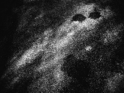 IX. Spectral de Cecilia Finotti, Digital a la venta en Singulart