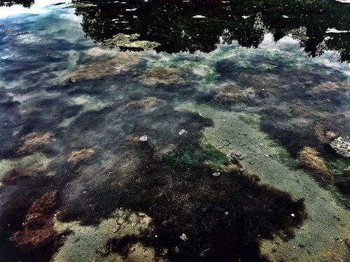 Black Tide de Cecilia Finotti, Fotografía a la venta en Singulart