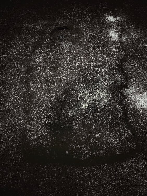 II. Adelon, a Presence Cecilia Finotti