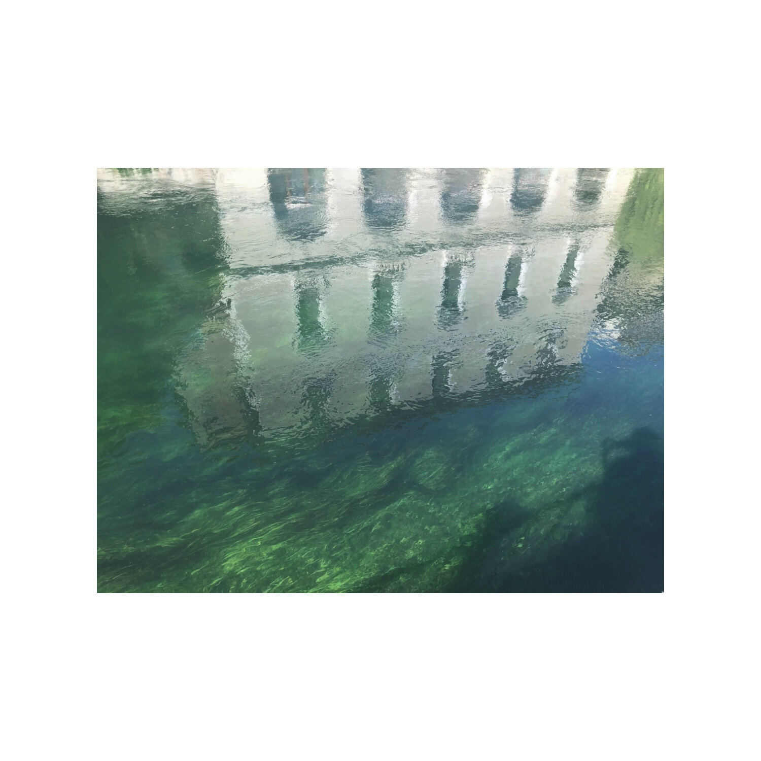 Emerald Reverie Cecilia Finotti