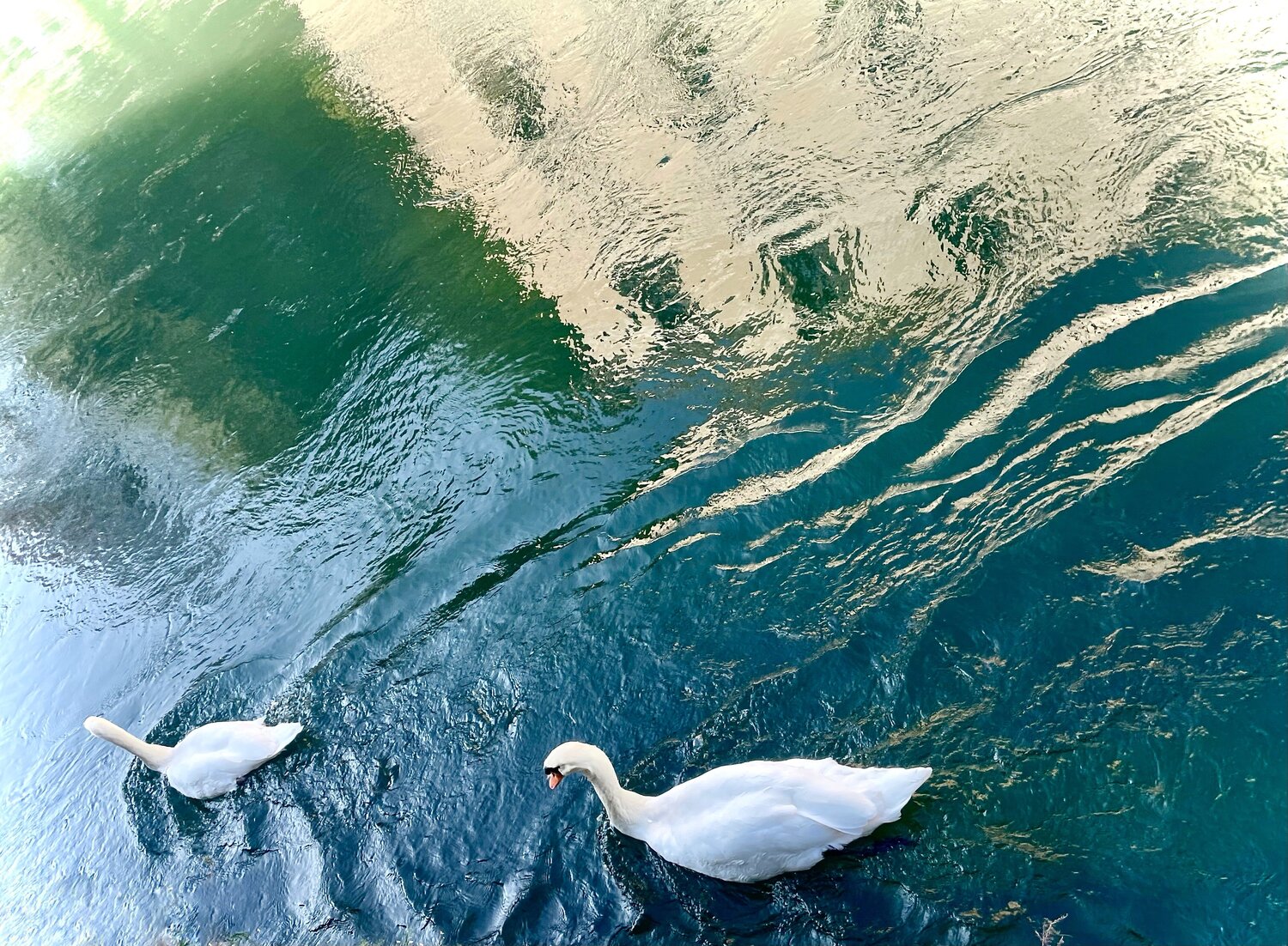 III. “Palace of Swans” Cecilia Finotti Fotografie zu verkaufen