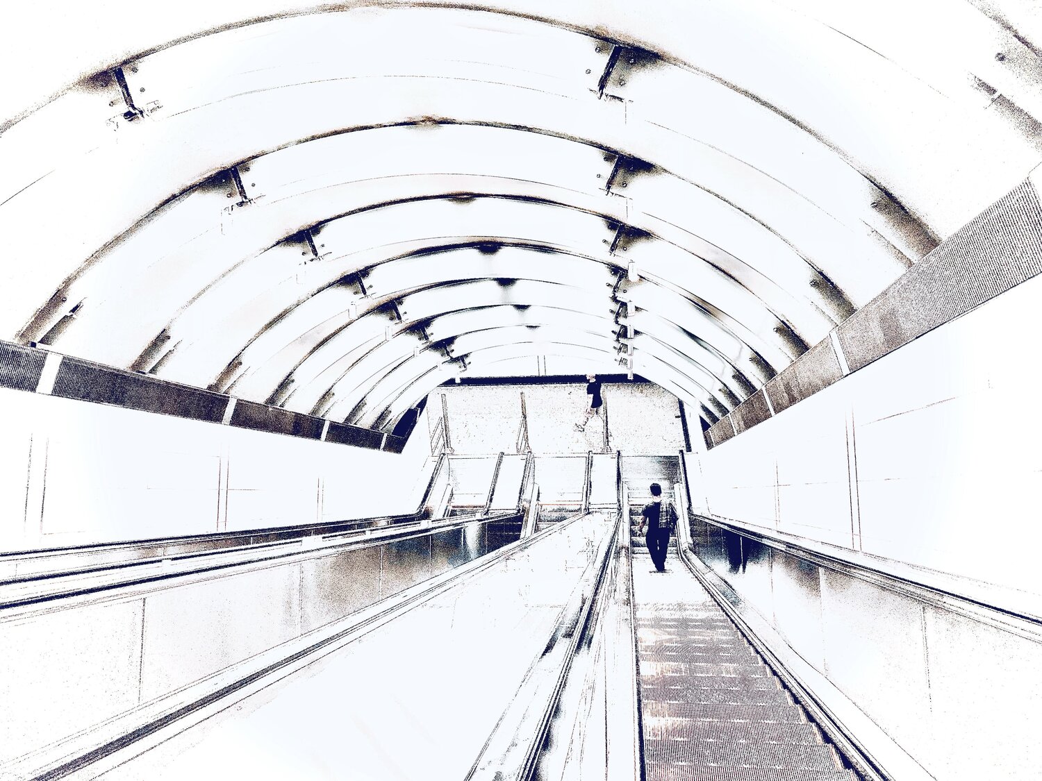 I. Clearness Cecilia Finotti