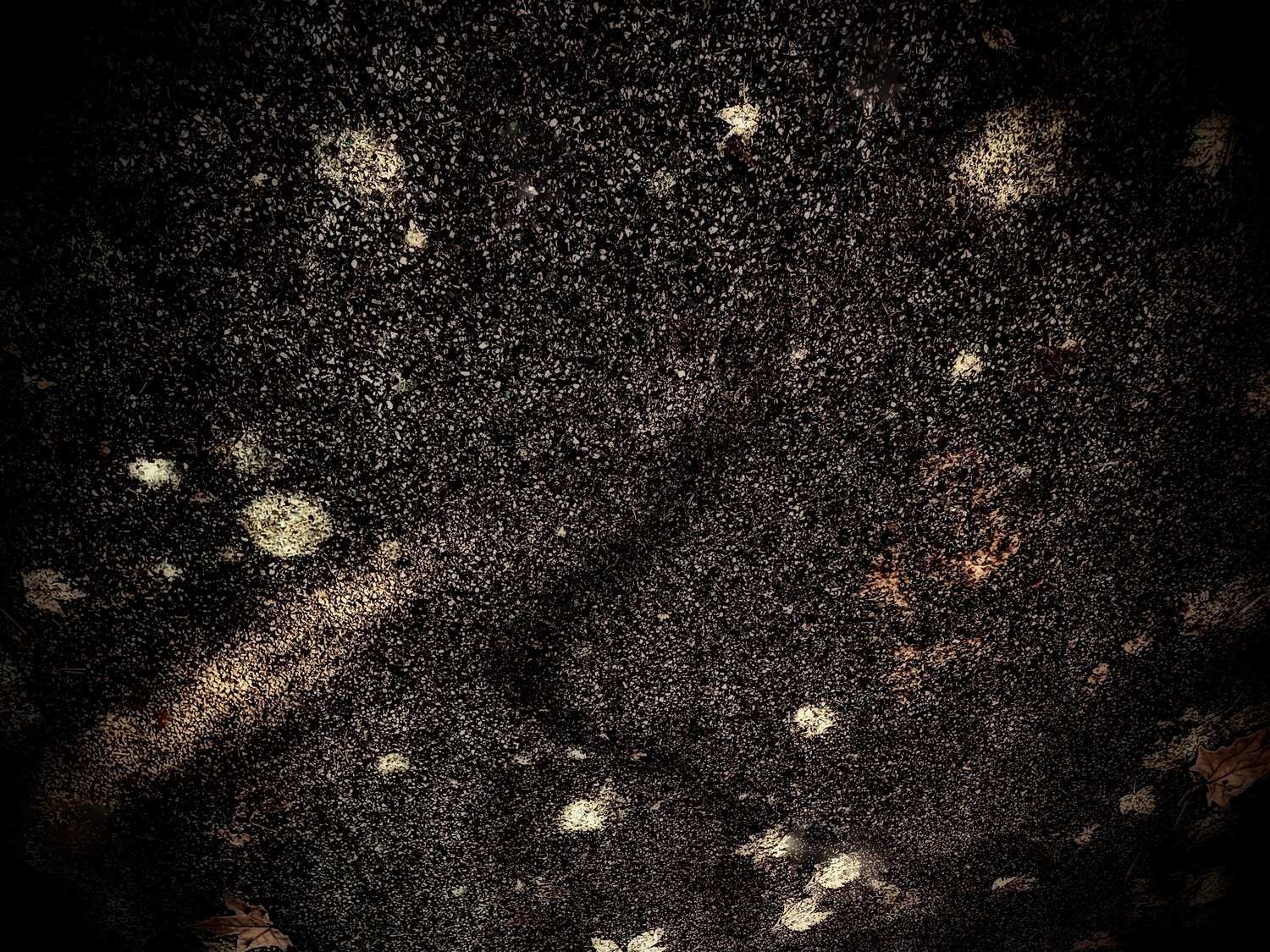 I. Galactica Cecilia Finotti
