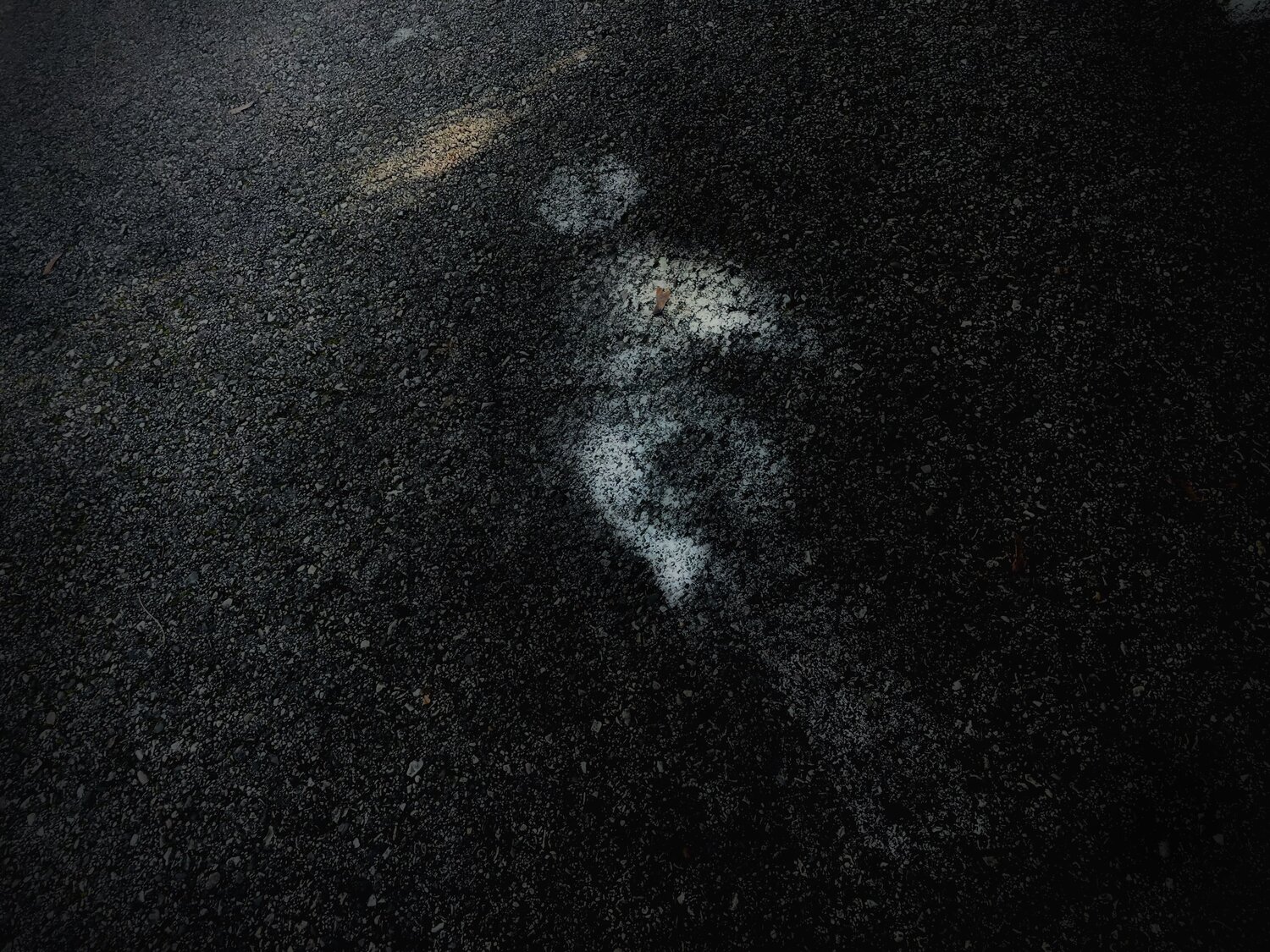 III. Dancing Astronaut Cecilia Finotti