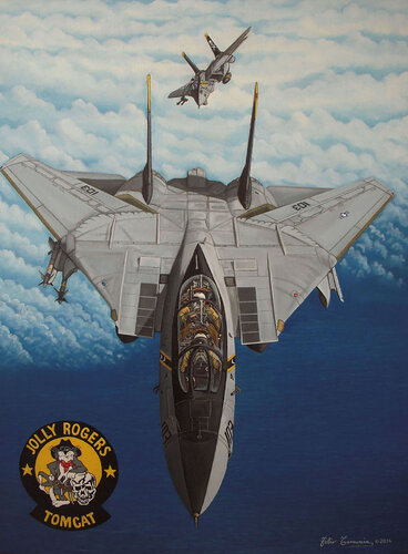 F-14 TOM CAT  "Jolly Rogers" de Fabio Tamussin, Pintura a la venta en Singulart