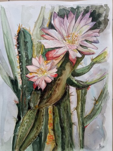 Kaktusblüte by Birgit van der Gang, Work on Paper for Sale on Singulart