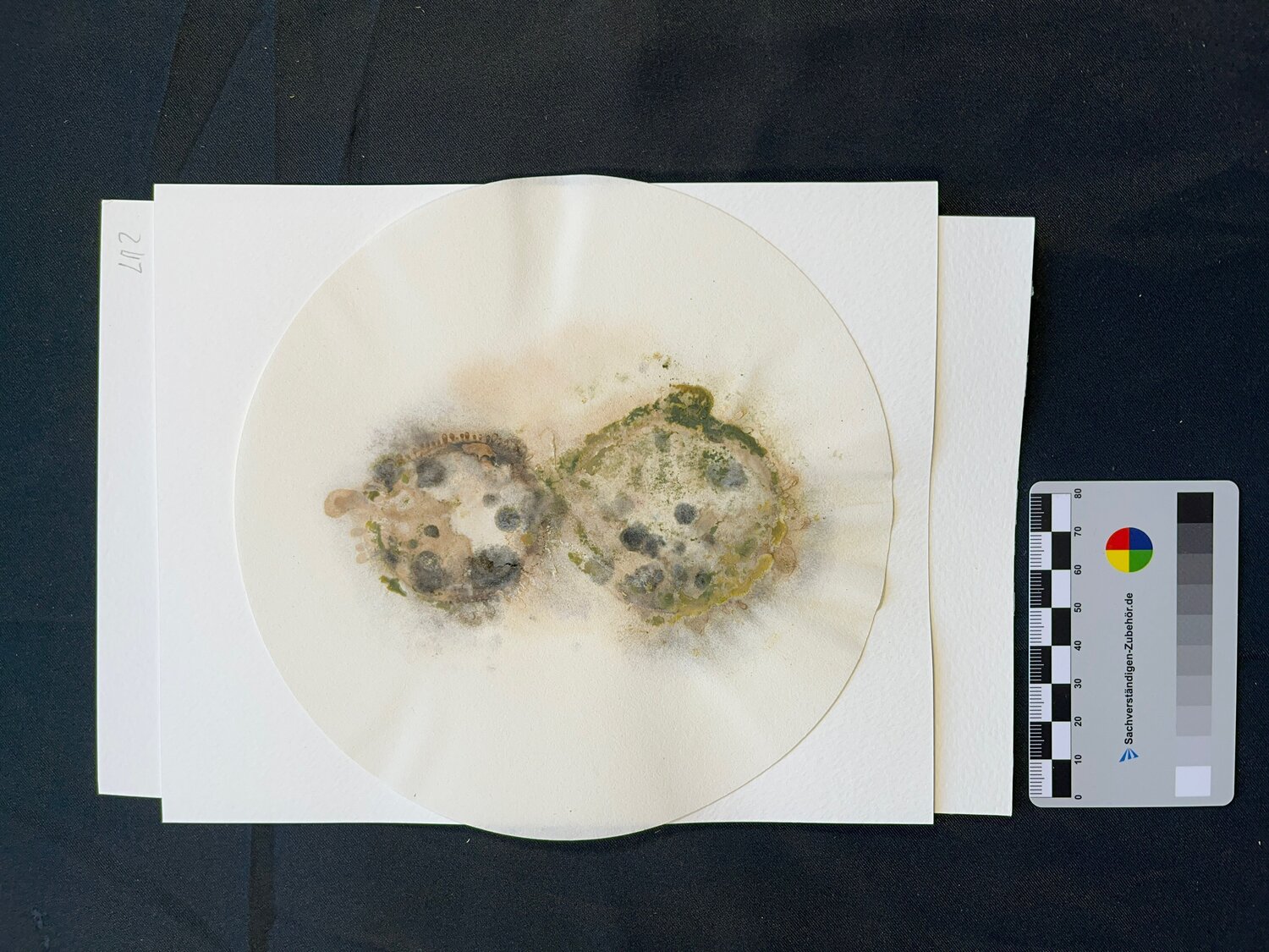 Decay-end-o Oscar Cambra Moo