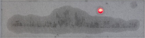 SCENERY OUT OF THE WINDOW di JIANG LI, Altri media in vendita su Singulart