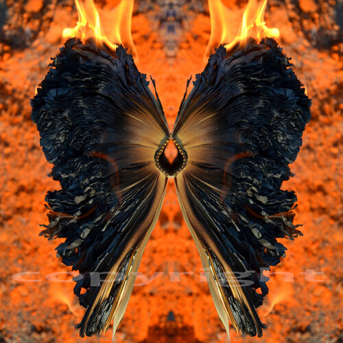 Thierry Parezys