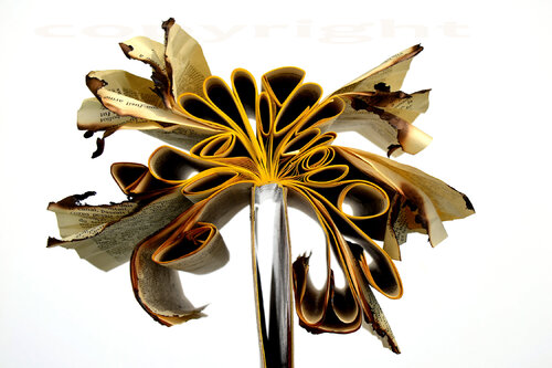 Correspondance-II von Thierry Parezys, Fotografie kaufen auf Singulart